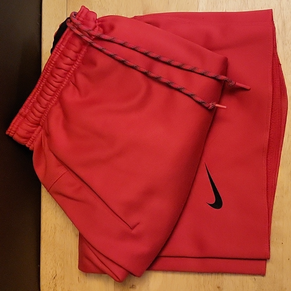 Nike NCAA Georgia Bulldogs UGA Dri-Fit Shorts (L)